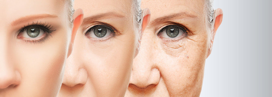 Cambridge Study on Anti-Aging