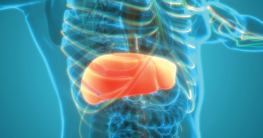 Natural Ways to Reverse Fatty Liver Disease